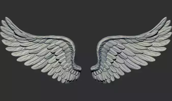 Wing model 3d printable model cnc 3D print model
