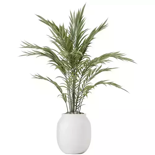 HQ HousePlants Pelagio Artificial Mountain Kentia Palm02 3D model