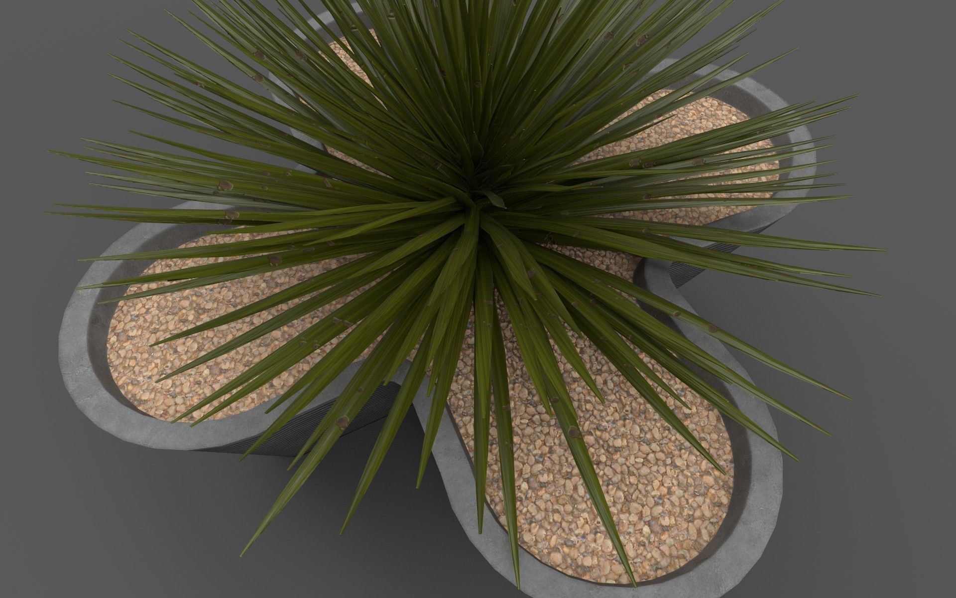Planter with Yucca Low-poly 3D model_4