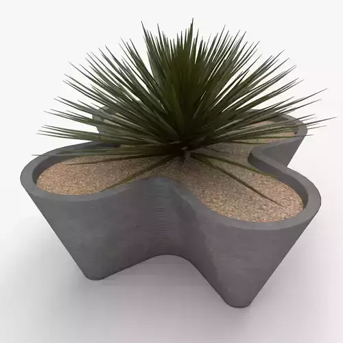 Planter with Yucca