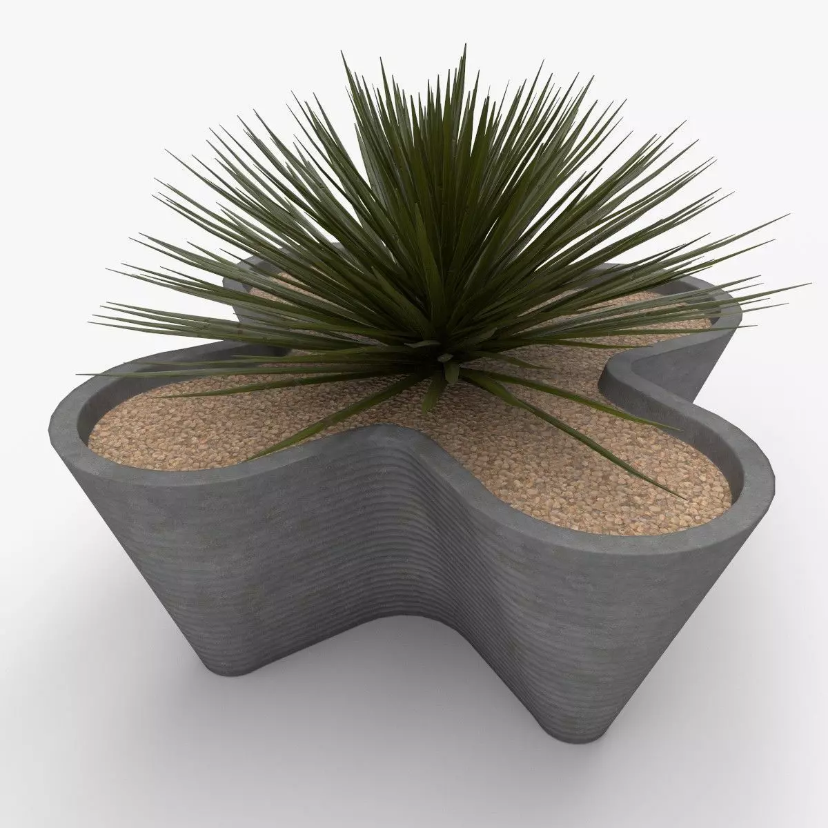 Planter with Yucca Low-poly 3D model_0