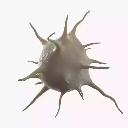 Platelet Thrombocyte 3