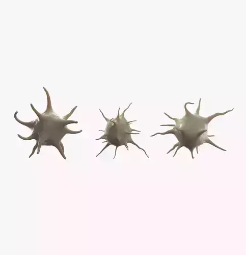 Platelet Thrombocyte Collection Low-poly 3D model