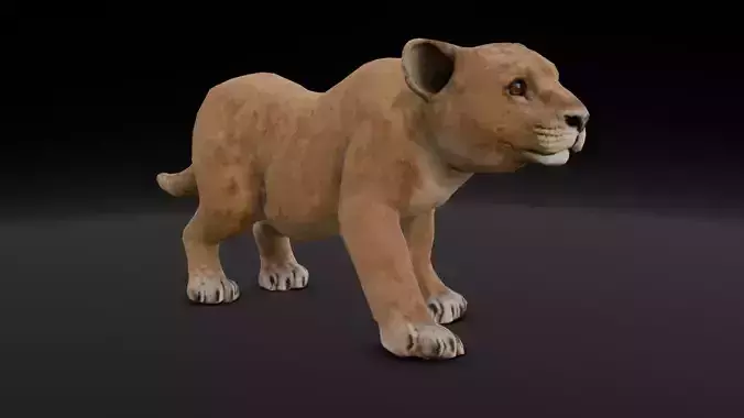 Lion Cub Animated 3D Model 