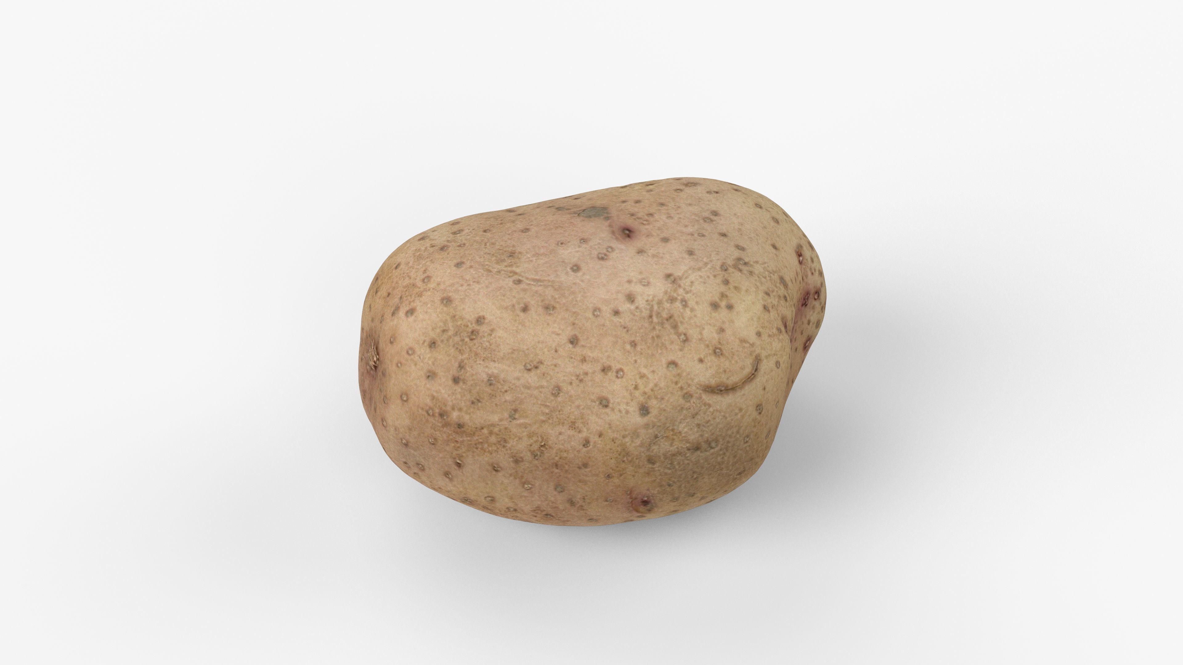 Photorealistic 3D scan of potato Low-poly 3D model_1
