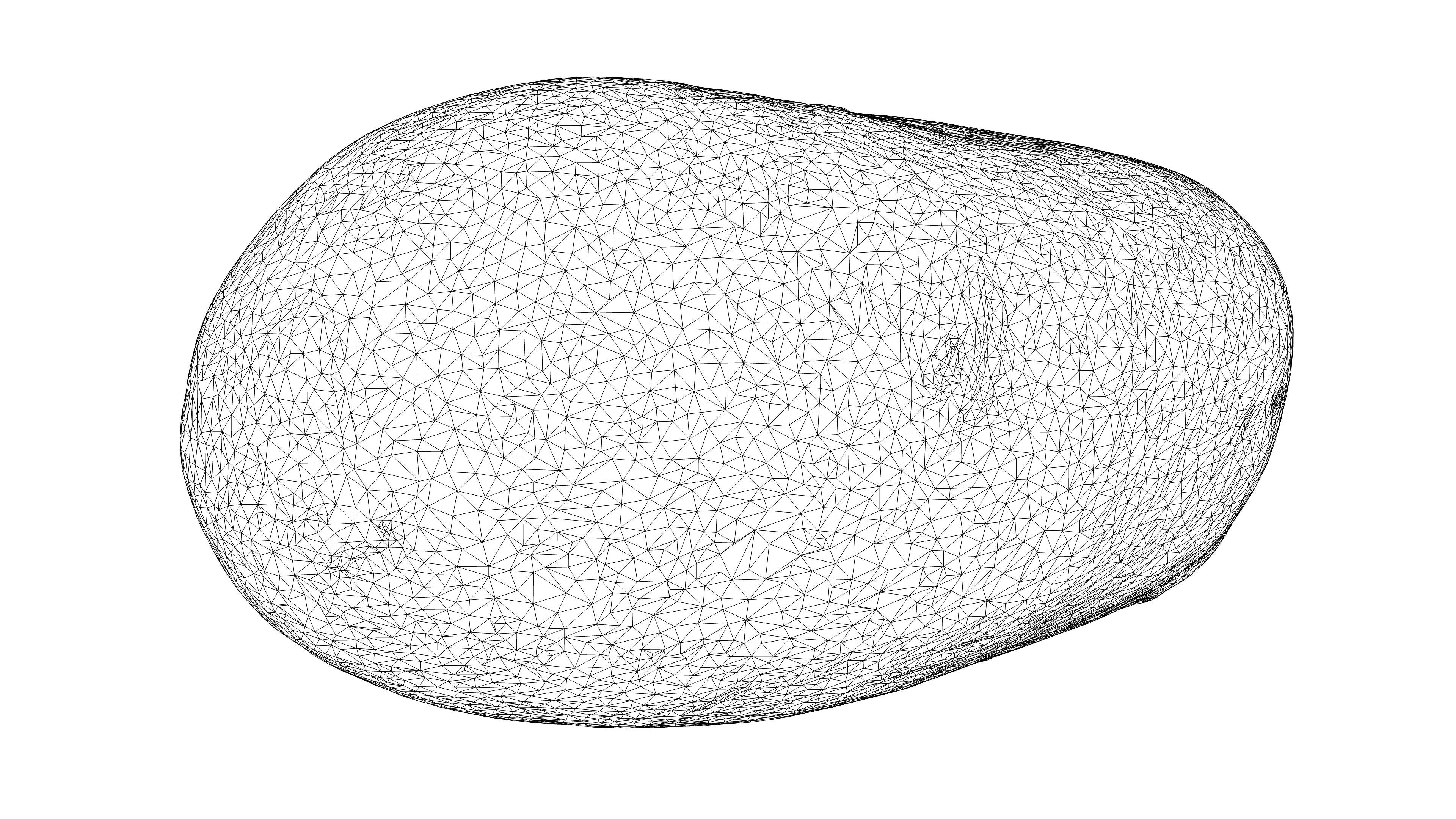 Photorealistic 3D scan of potato Low-poly 3D model_20