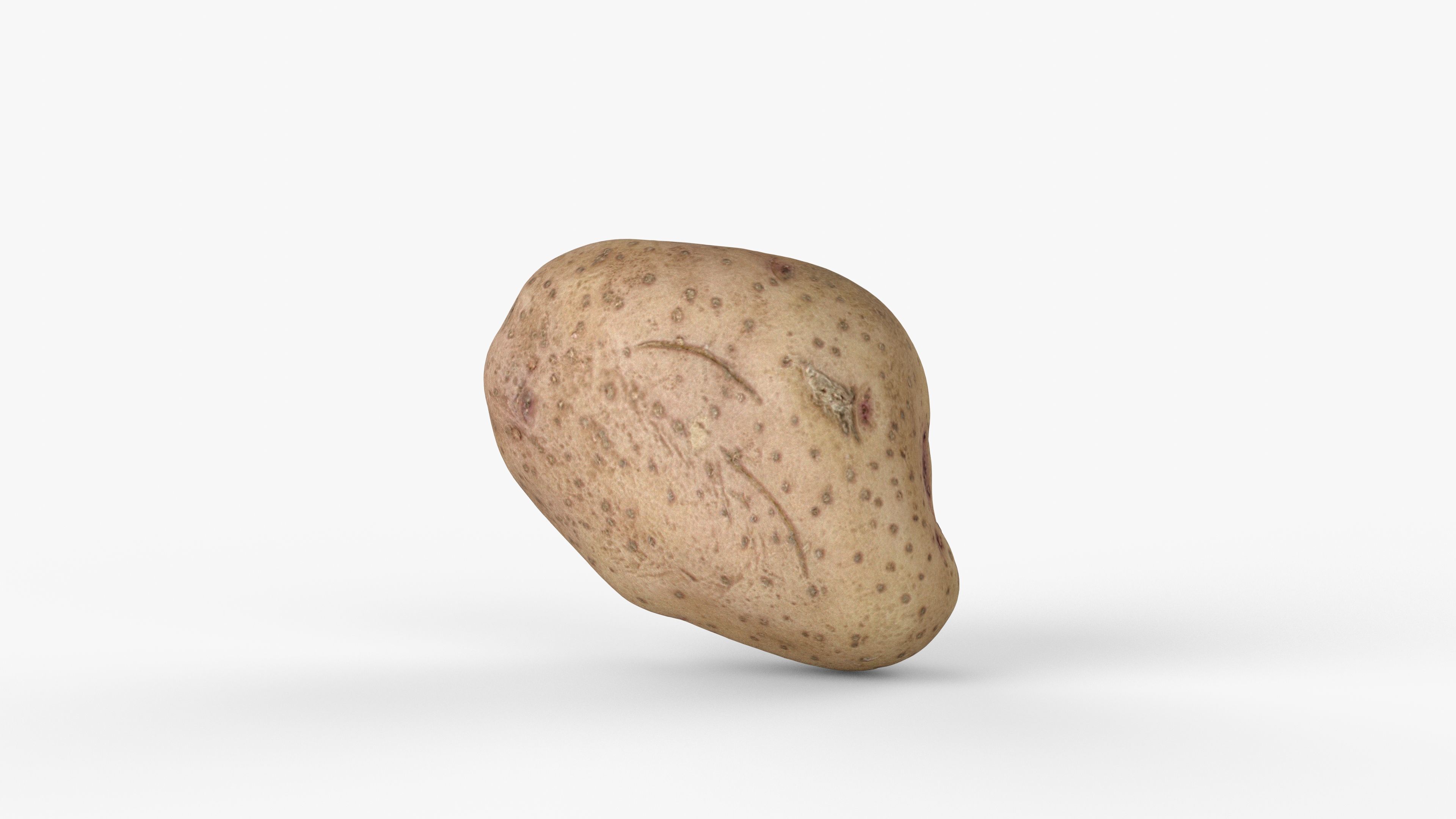 Photorealistic 3D scan of potato Low-poly 3D model_13