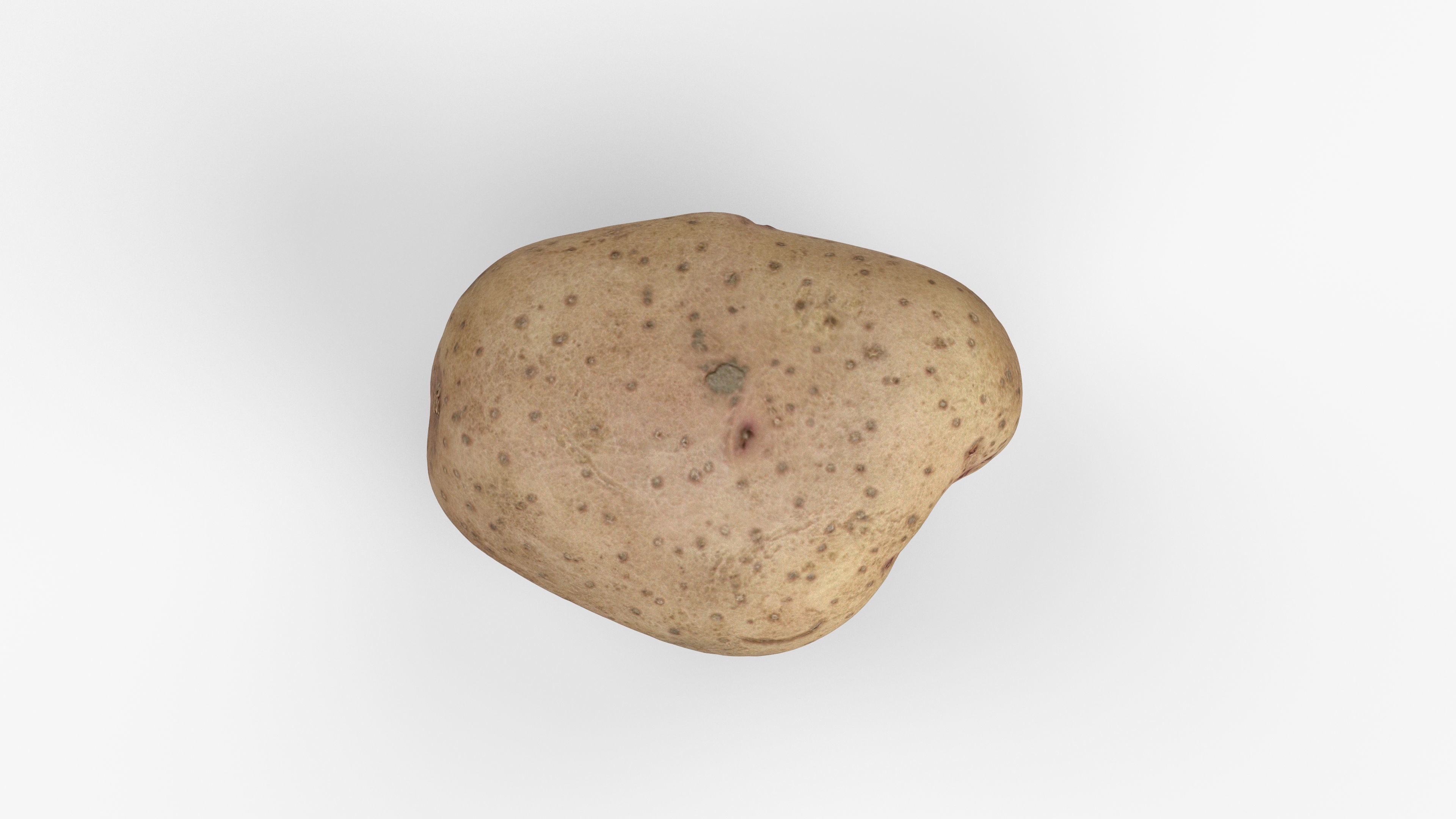 Photorealistic 3D scan of potato Low-poly 3D model_11
