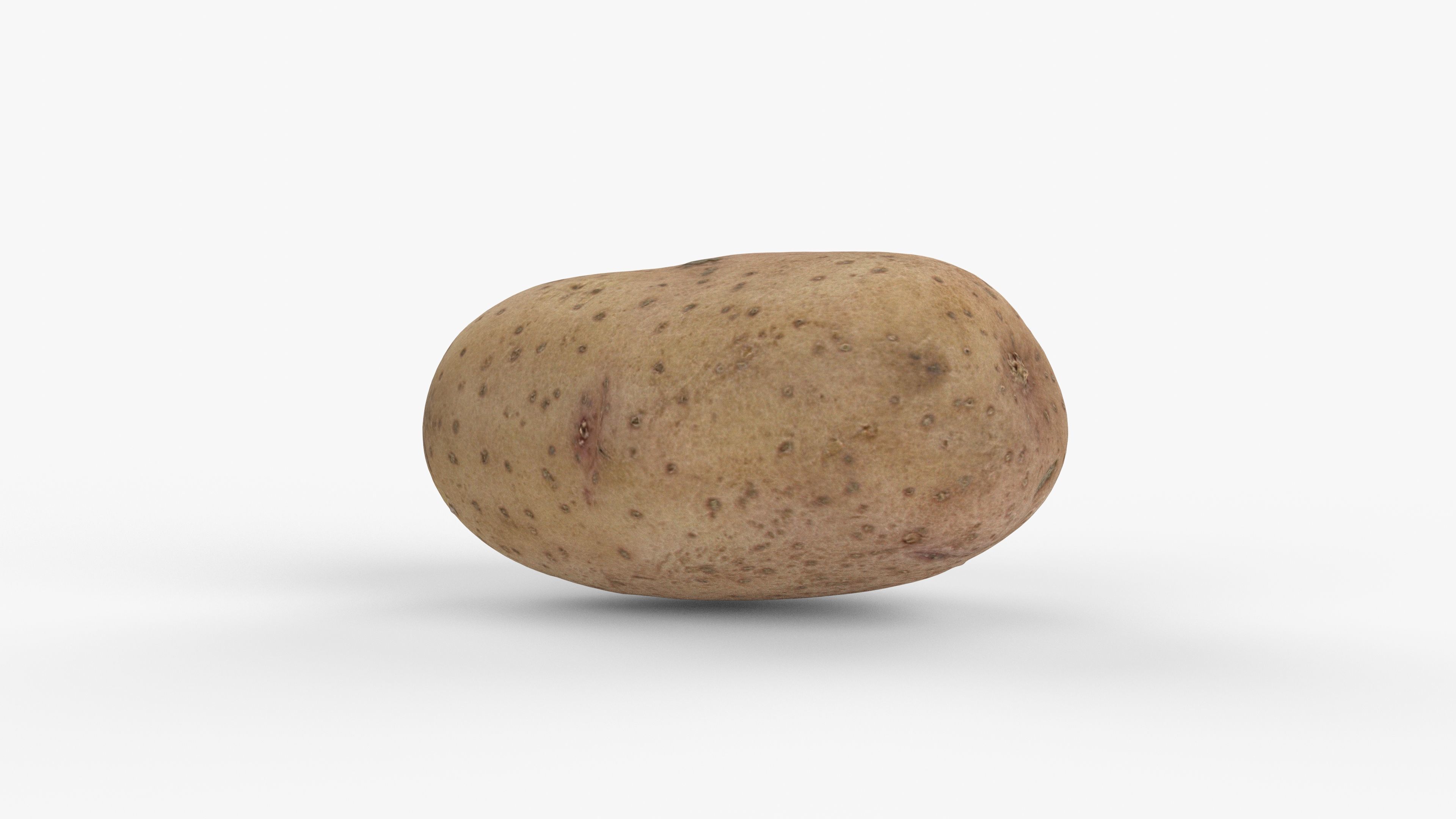 Photorealistic 3D scan of potato Low-poly 3D model_3