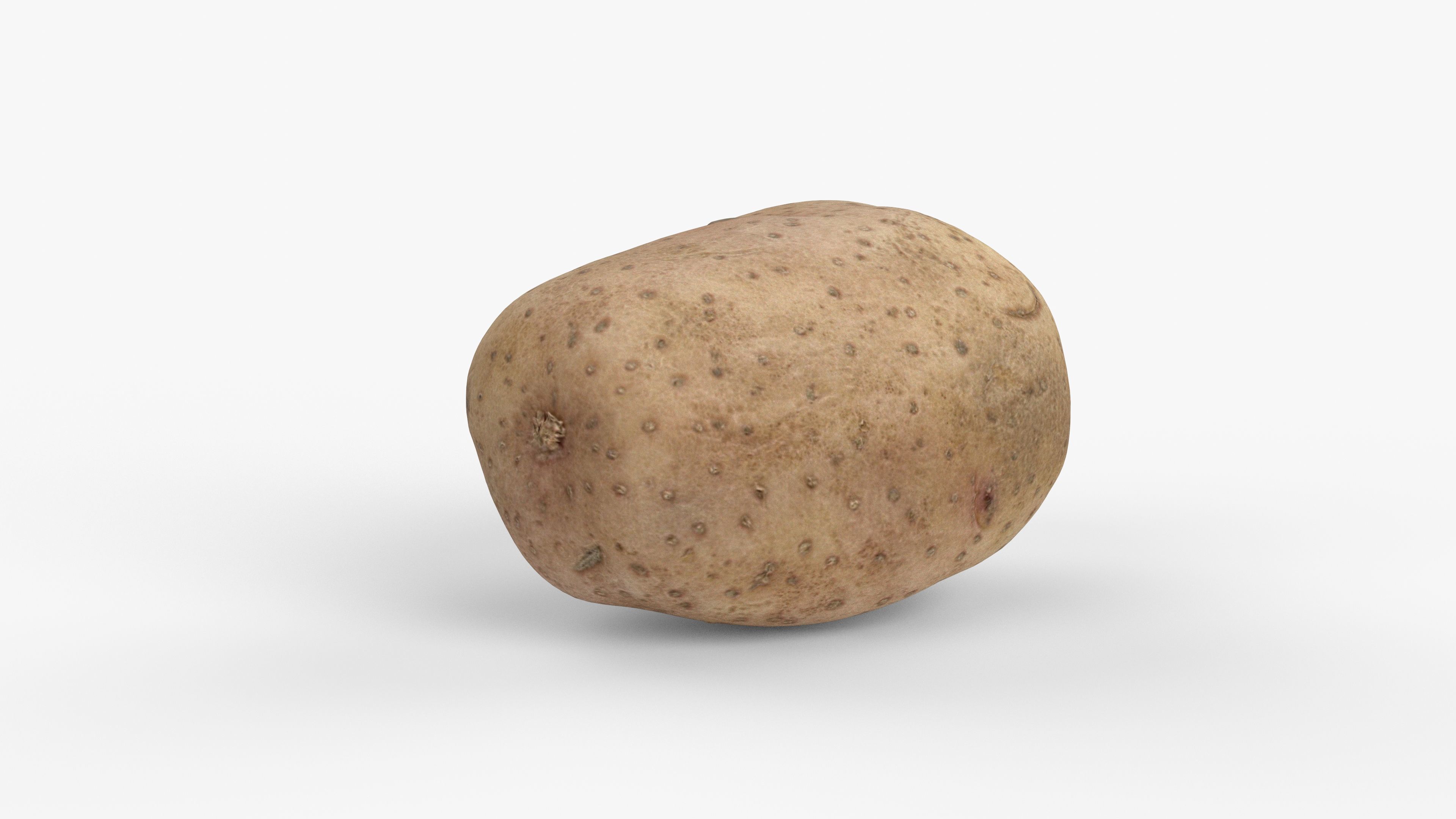 Photorealistic 3D scan of potato Low-poly 3D model_2