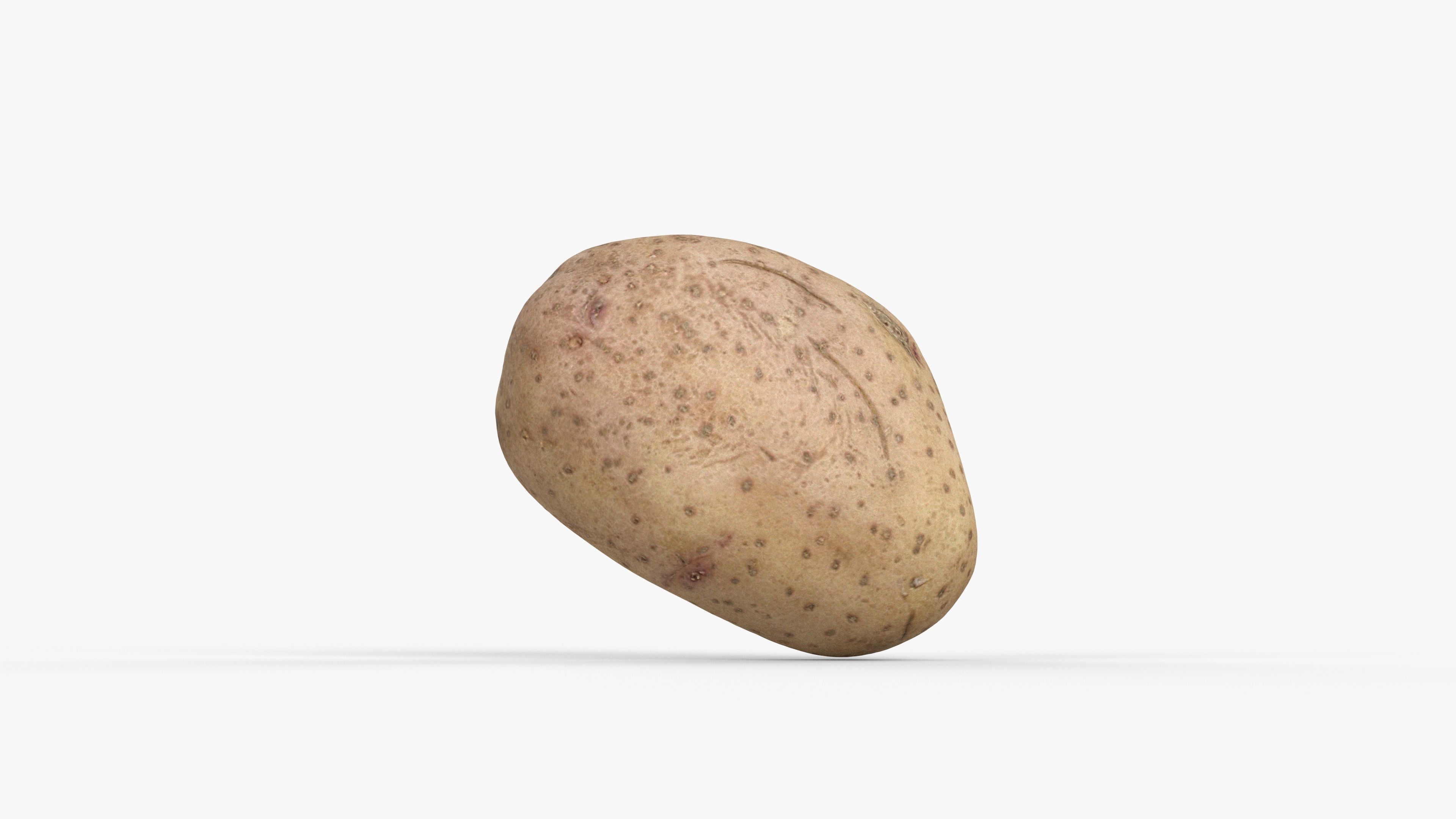 Photorealistic 3D scan of potato Low-poly 3D model_10