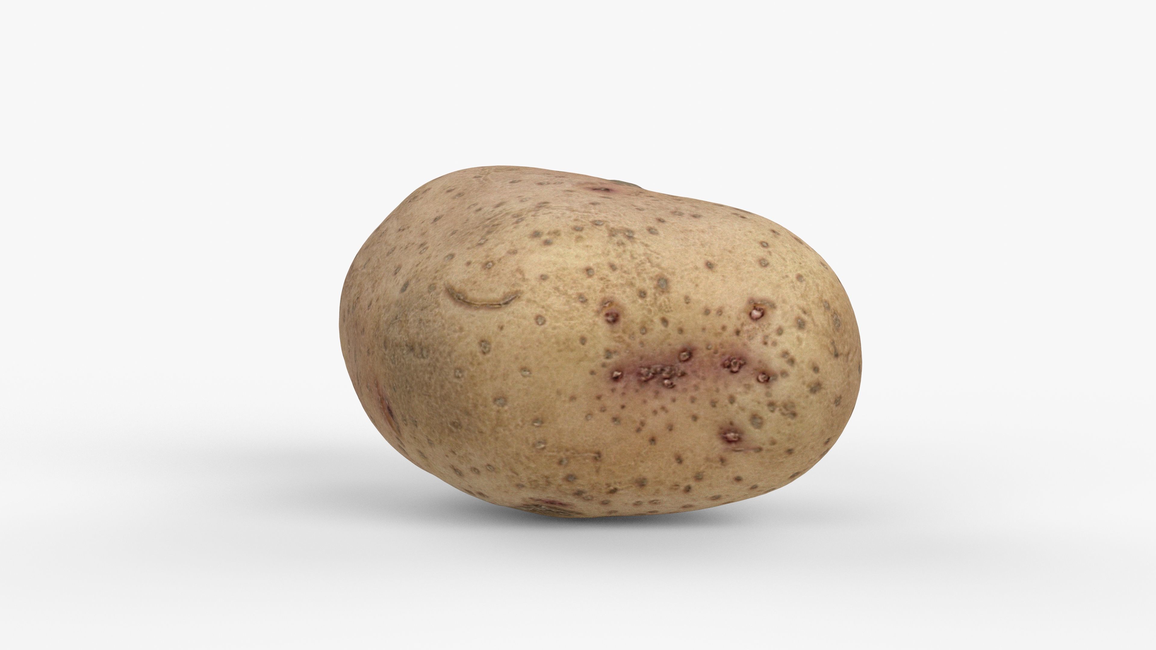 Photorealistic 3D scan of potato Low-poly 3D model_5