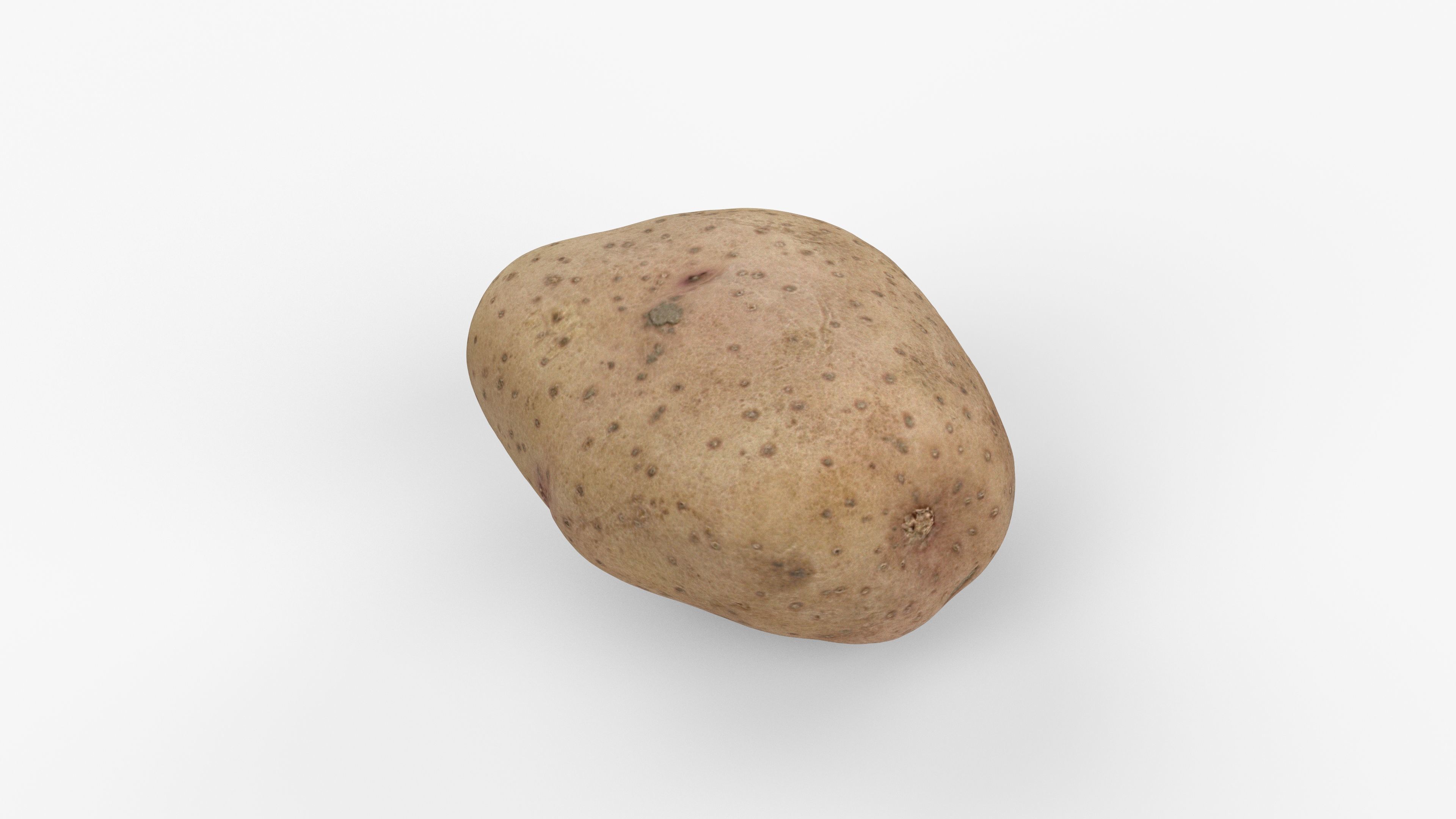 Photorealistic 3D scan of potato Low-poly 3D model_7