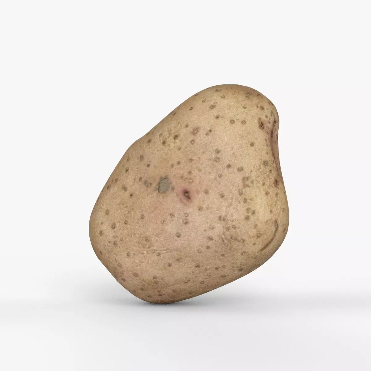 Photorealistic 3D scan of potato Low-poly 3D model_0