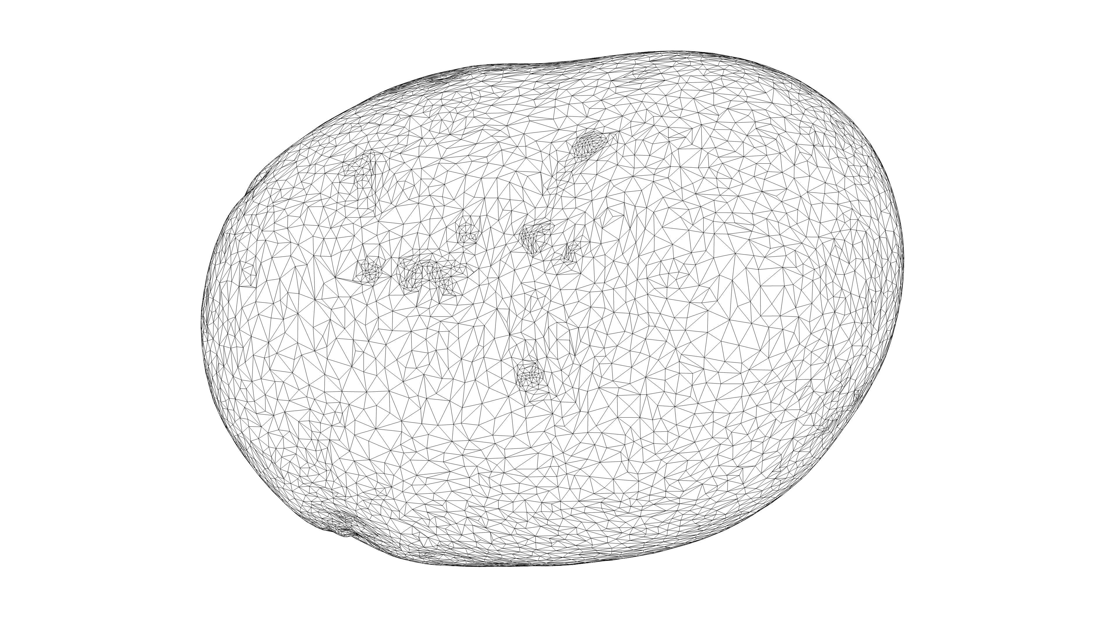 Photorealistic 3D scan of potato Low-poly 3D model_19