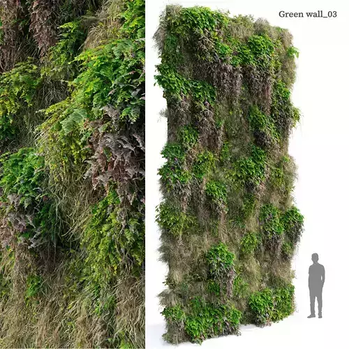 Green wall 03