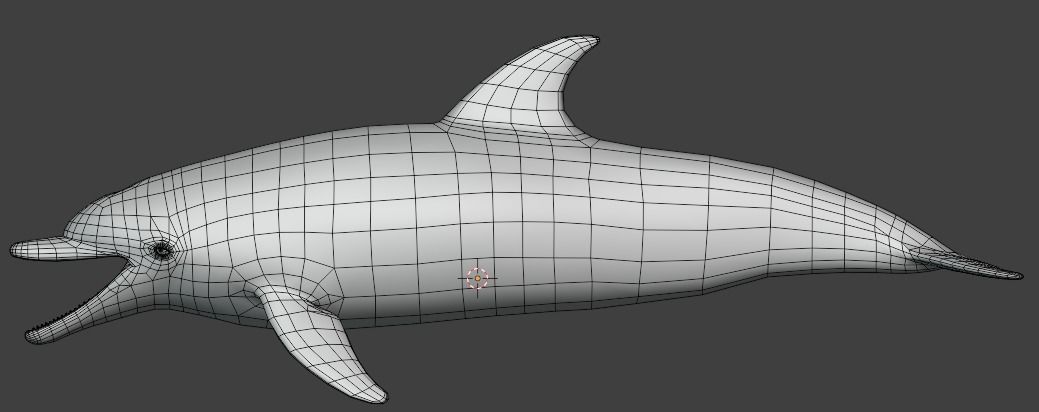 Dolphin Animated  Low-poly 3D model_13