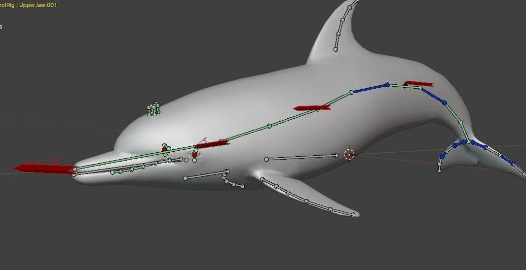 Dolphin Animated  Low-poly 3D model_10