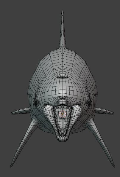 Dolphin Animated  Low-poly 3D model_14