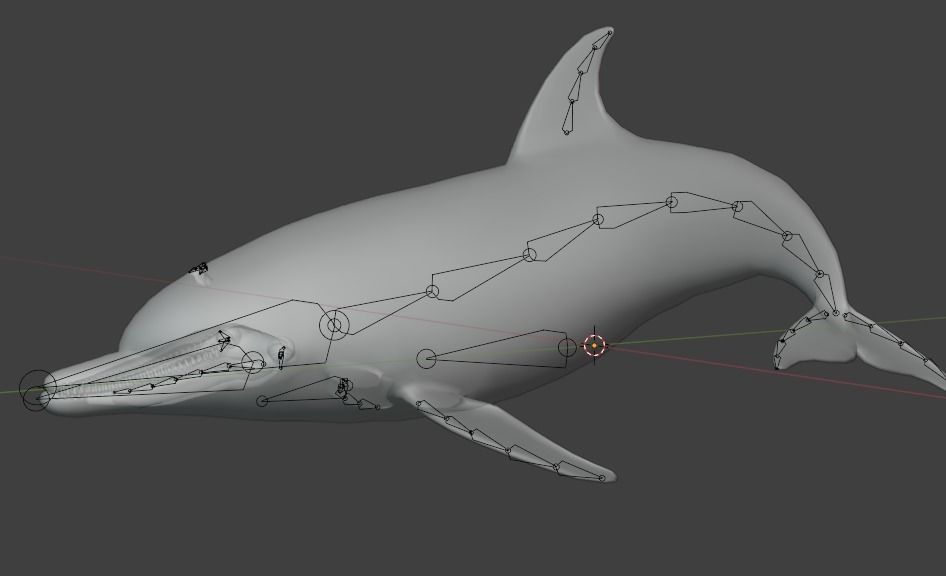 Dolphin Animated  Low-poly 3D model_11