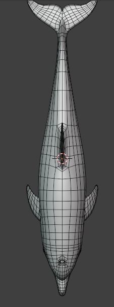 Dolphin Animated  Low-poly 3D model_16