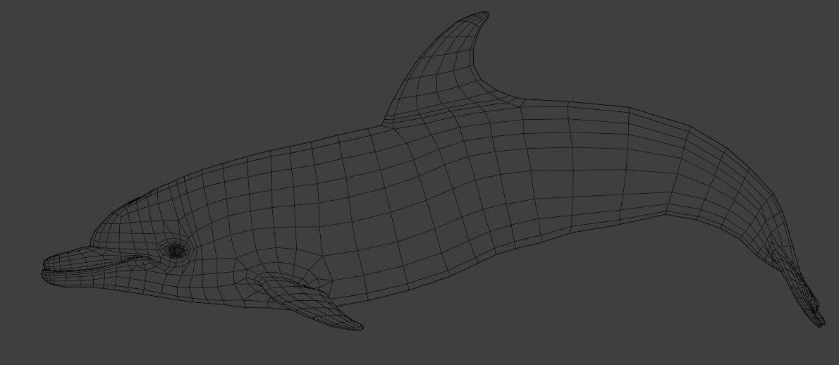 Dolphin Animated  Low-poly 3D model_17