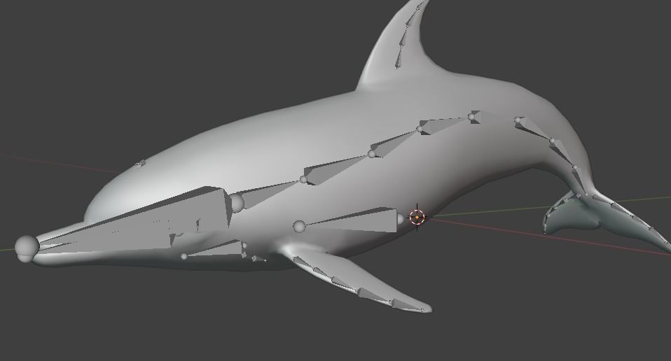 Dolphin Animated  Low-poly 3D model_12