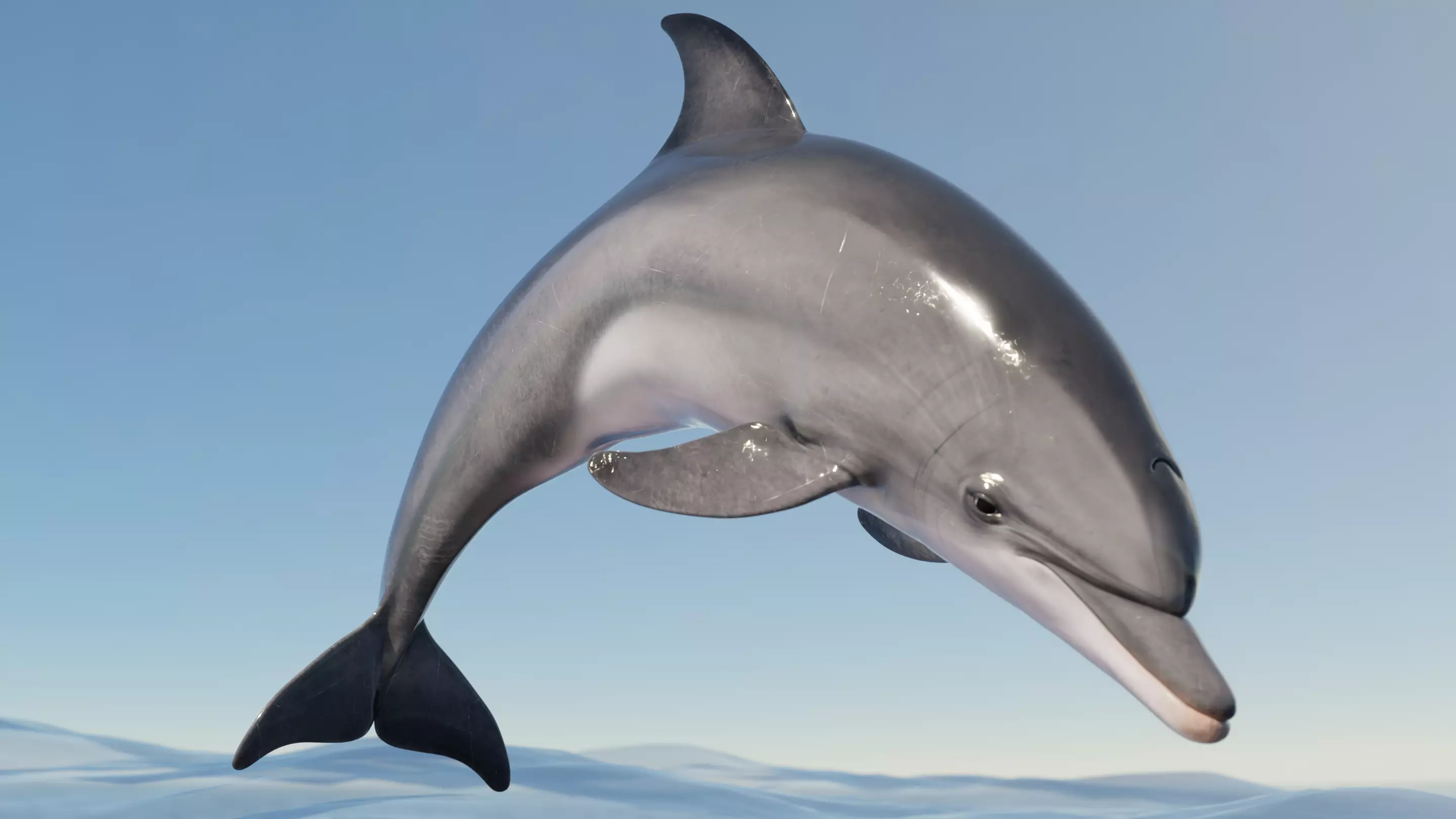 Dolphin Animated  Low-poly 3D model_0