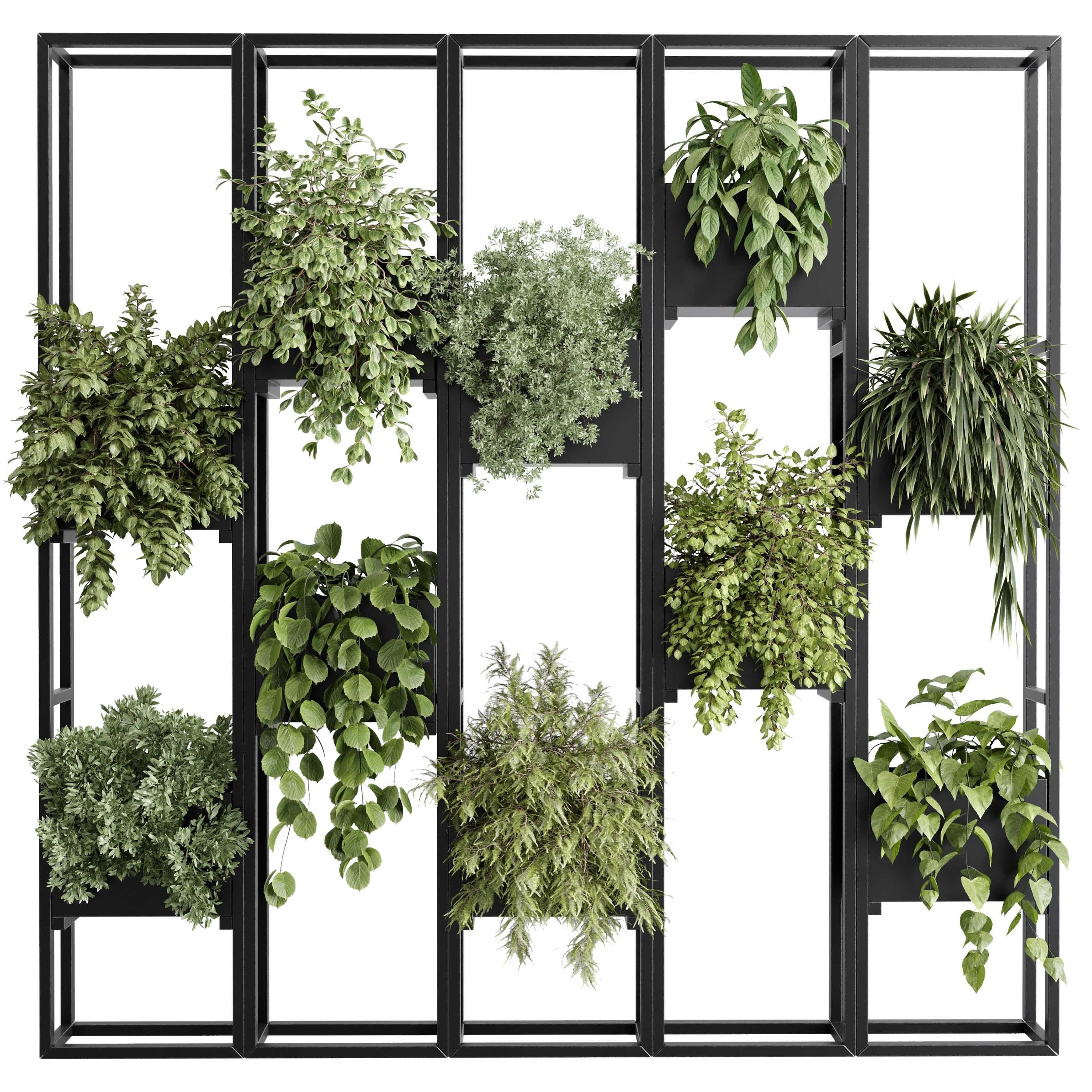 Plants set partition in metal frame 85 Vertical graden wall box 3D model_1