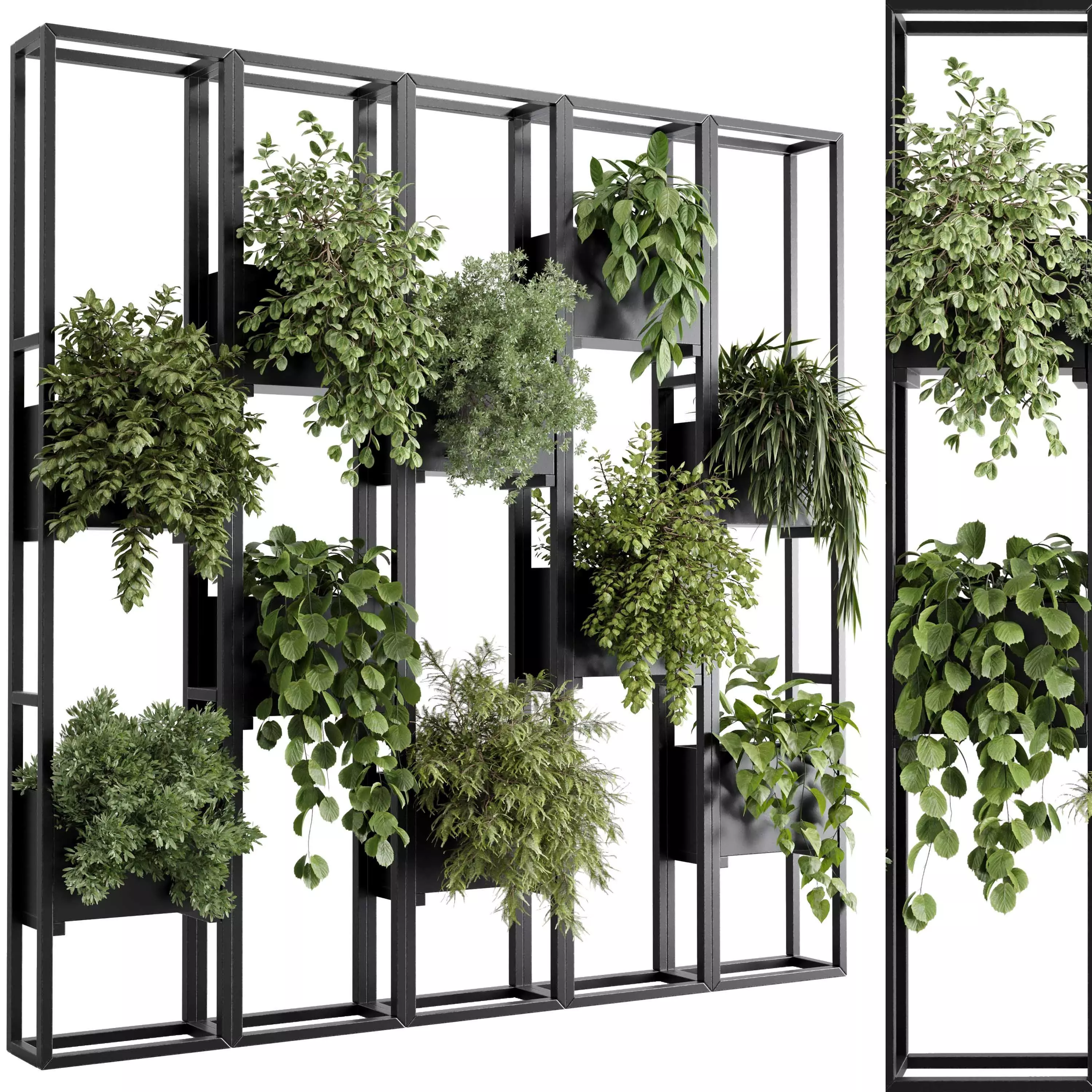 Plants set partition in metal frame 85 Vertical graden wall box 3D model_0