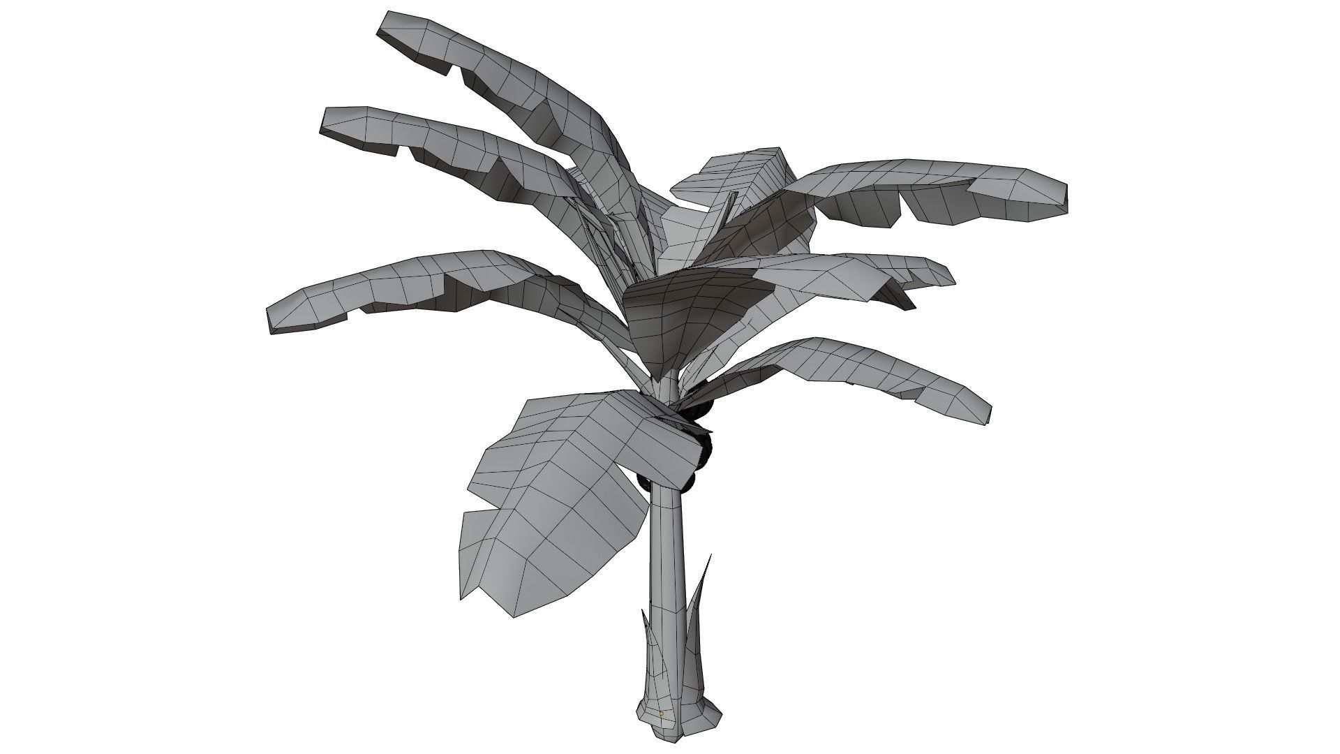 Banana Tree 3D model_12