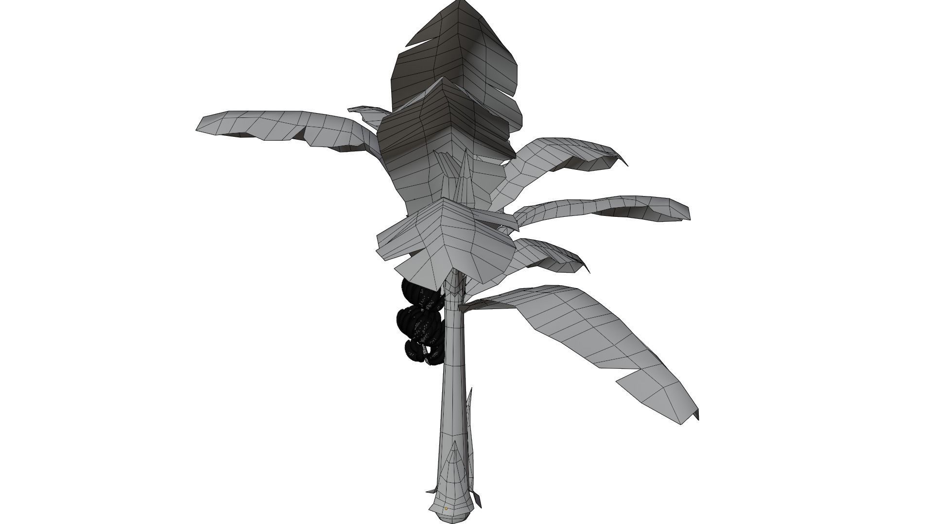 Banana Tree 3D model_11