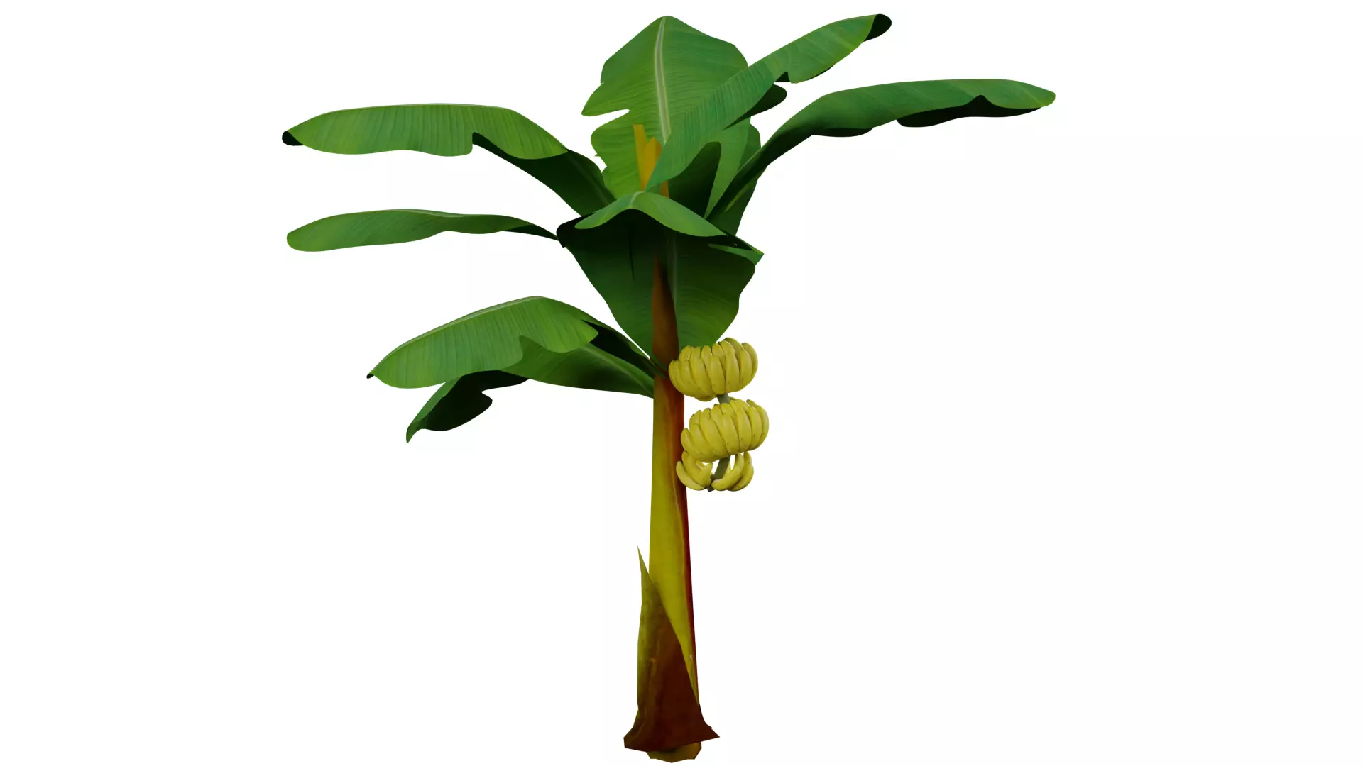 Banana Tree 3D model_0