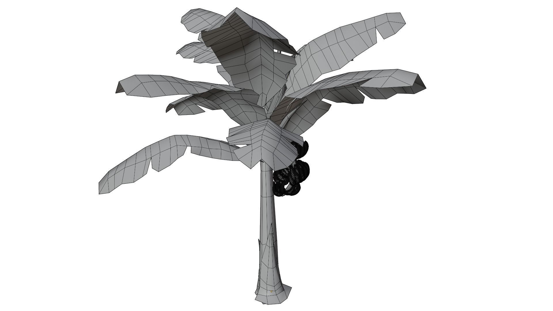 Banana Tree 3D model_14