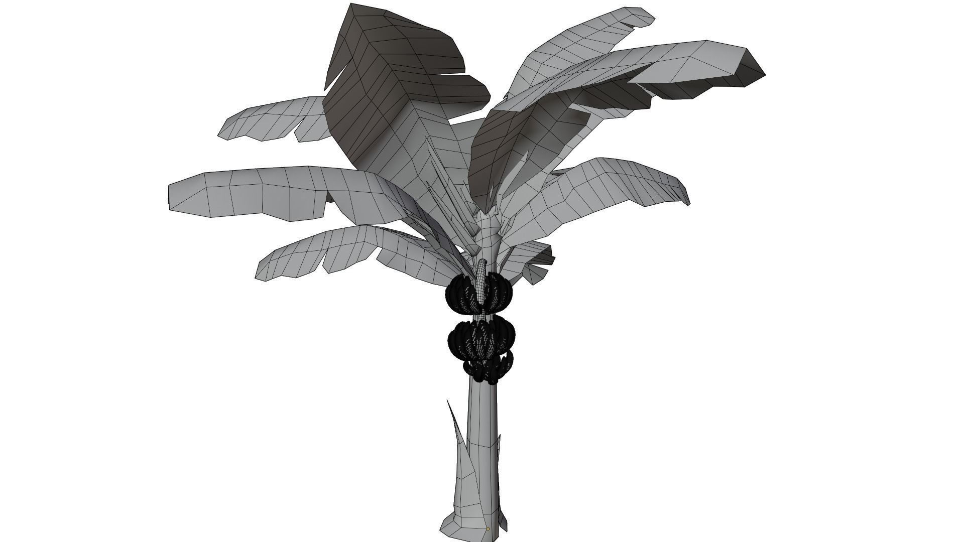 Banana Tree 3D model_9