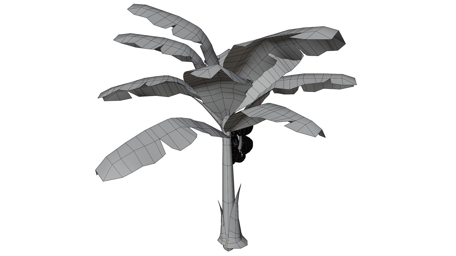 Banana Tree 3D model_13