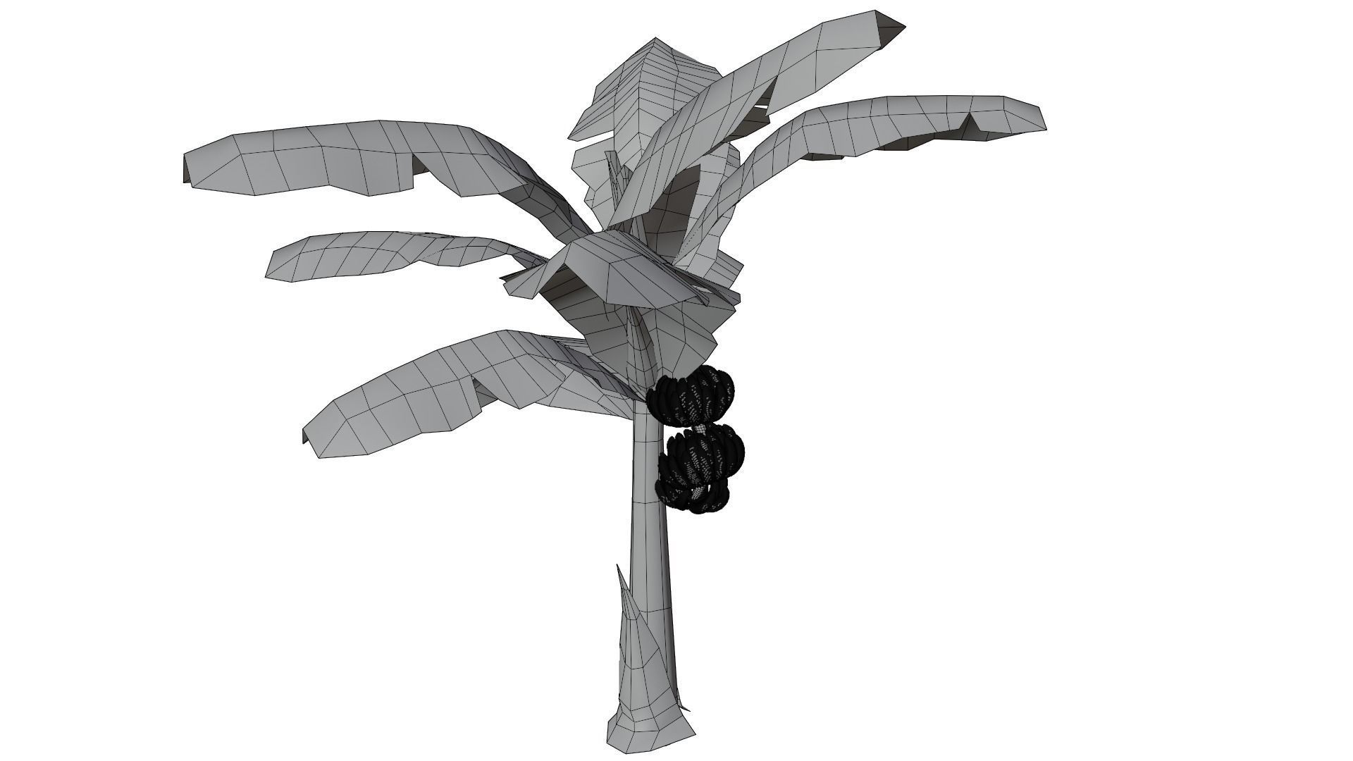 Banana Tree 3D model_8