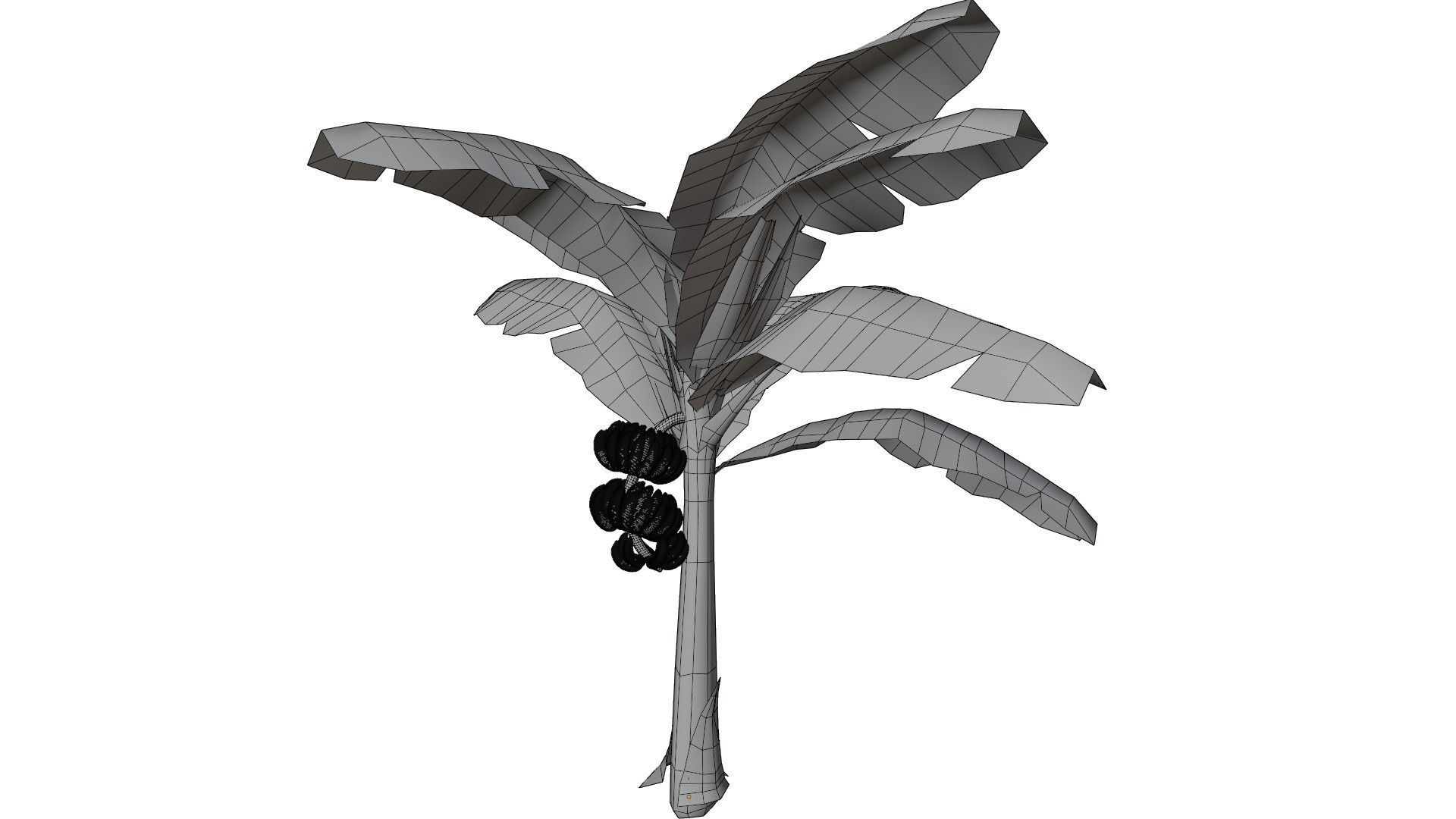 Banana Tree 3D model_10