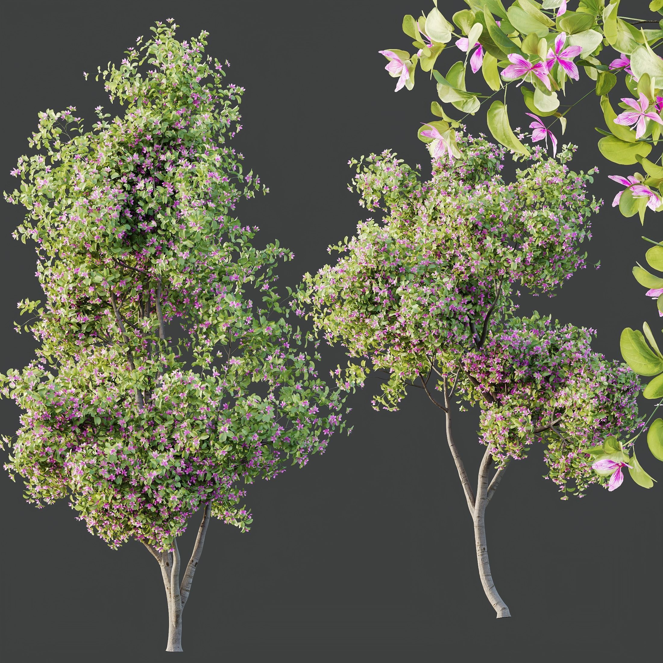 6 Different SETS of Plant Tree SET VOL142 3D Model Collection_23
