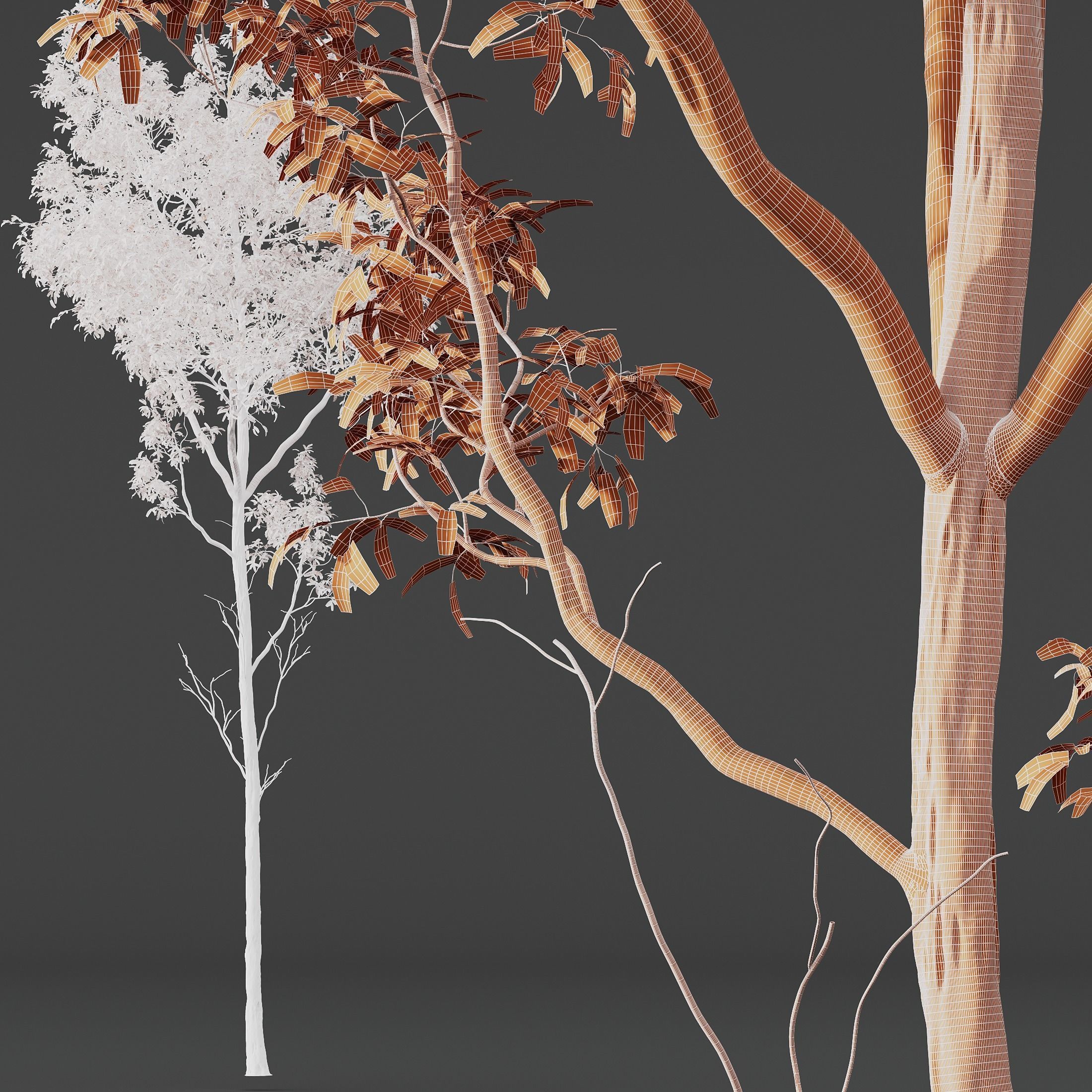 6 Different SETS of Plant Tree SET VOL142 3D Model Collection_28