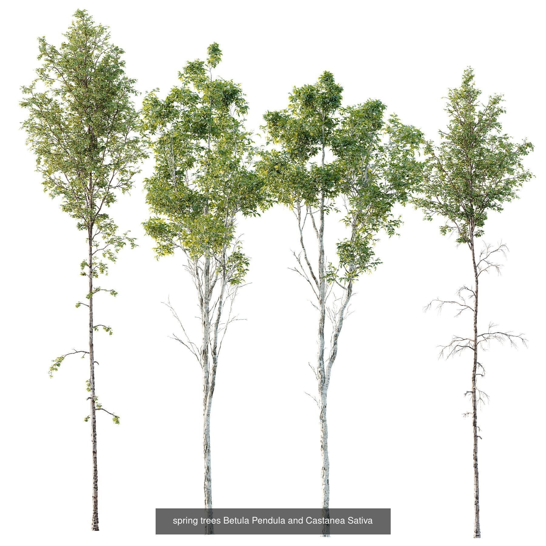 6 Different SETS of Plant Tree SET VOL142 3D Model Collection_2