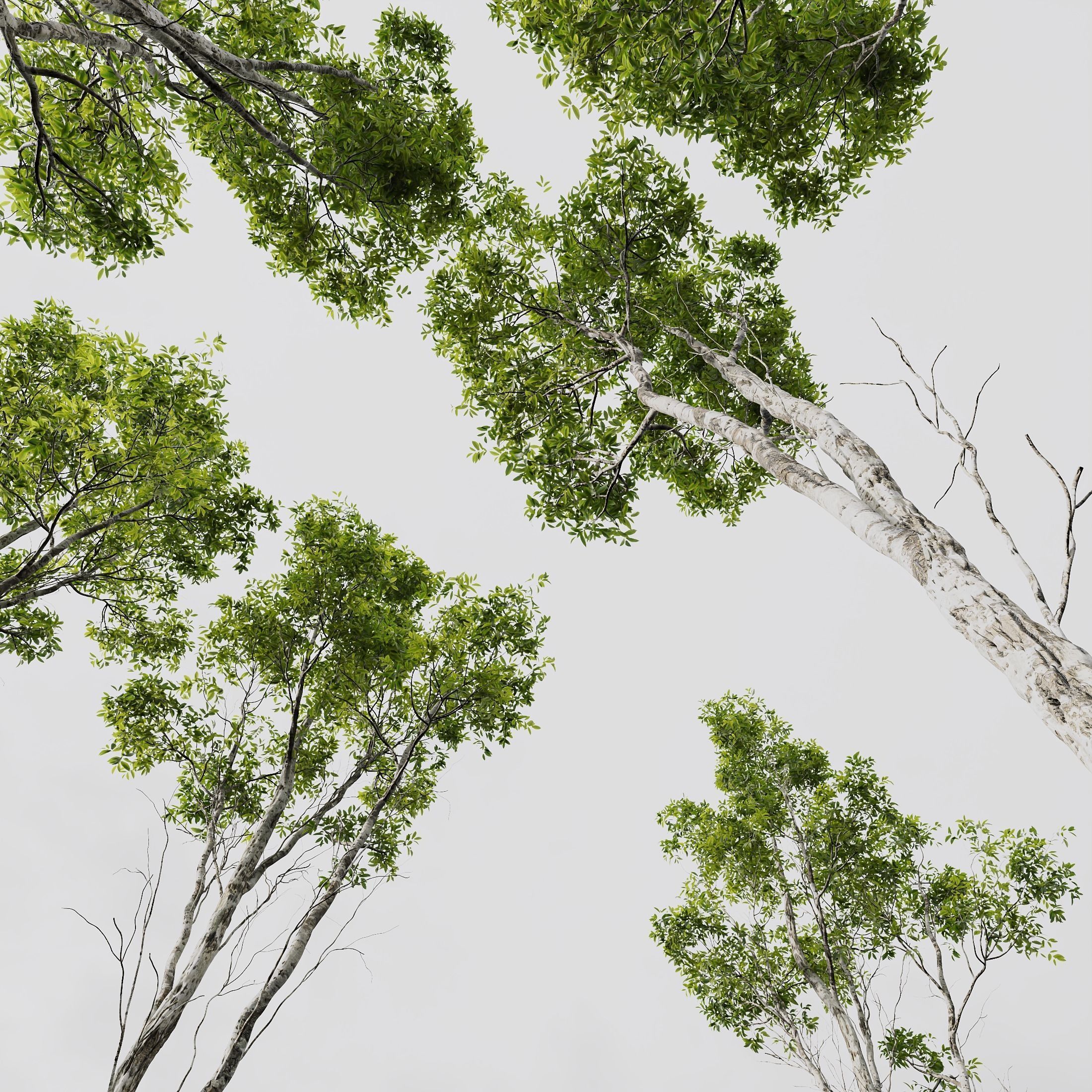 6 Different SETS of Plant Tree SET VOL142 3D Model Collection_19