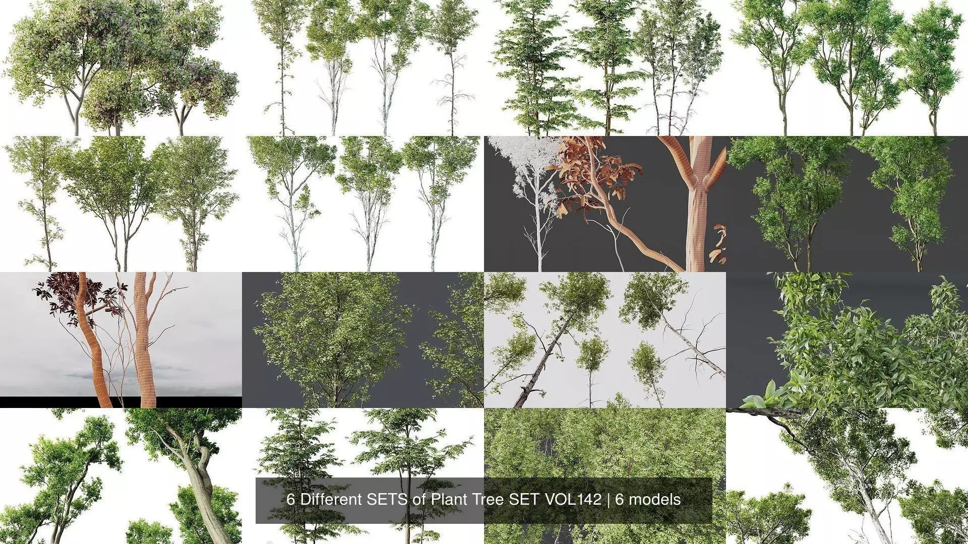 6 Different SETS of Plant Tree SET VOL142 3D Model Collection_1