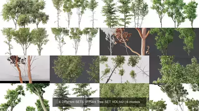 6 Different SETS of Plant Tree SET VOL142