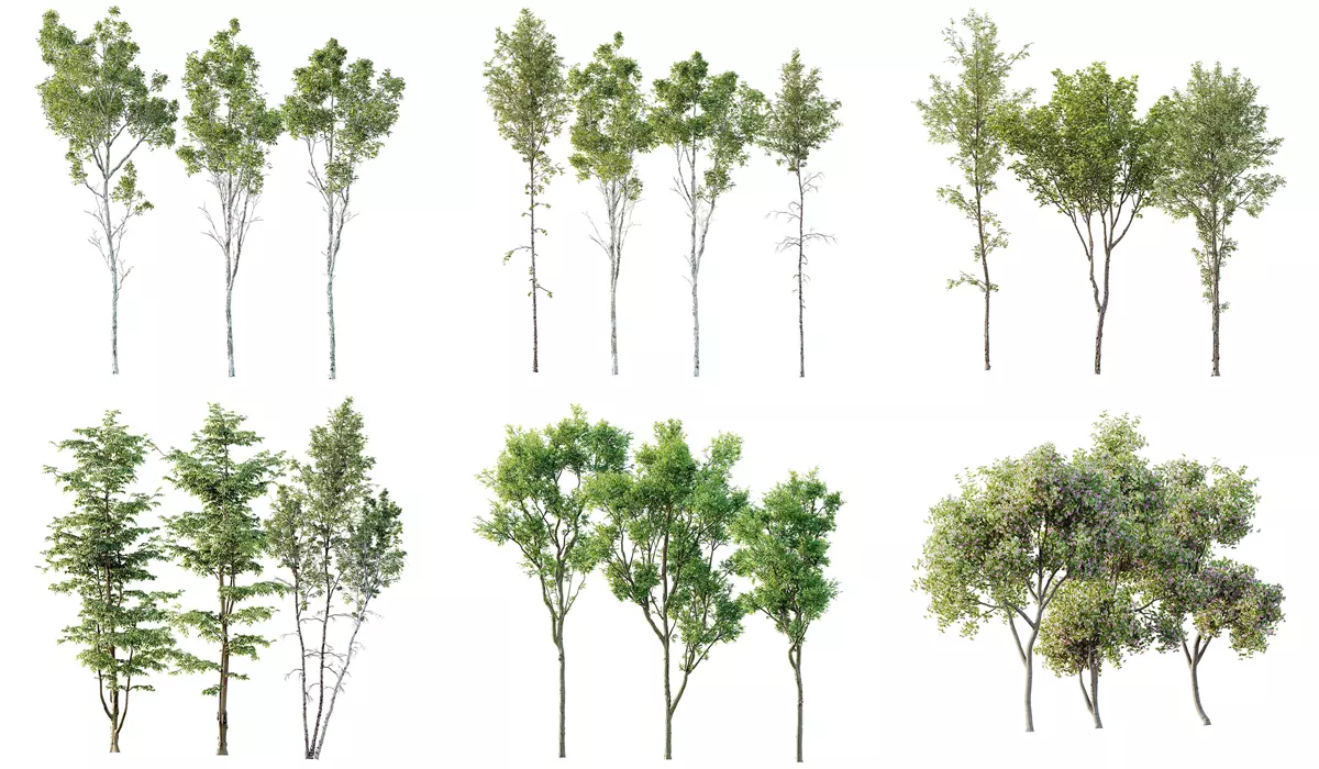 6 Different SETS of Plant Tree SET VOL142 3D Model Collection_0