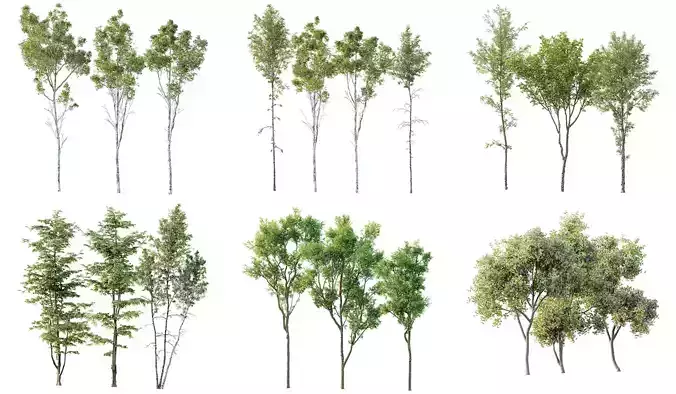 6 Different SETS of Plant Tree SET VOL142 3D Model Collection