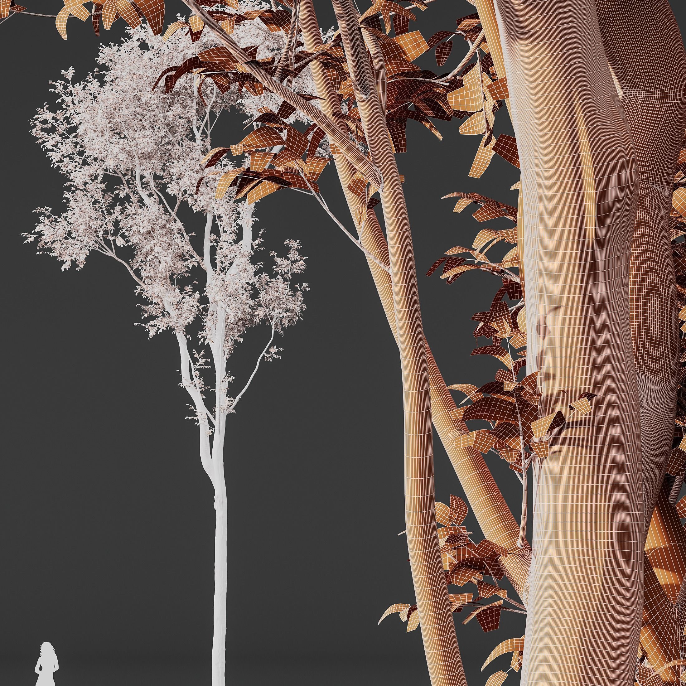 6 Different SETS of Plant Tree SET VOL142 3D Model Collection_25