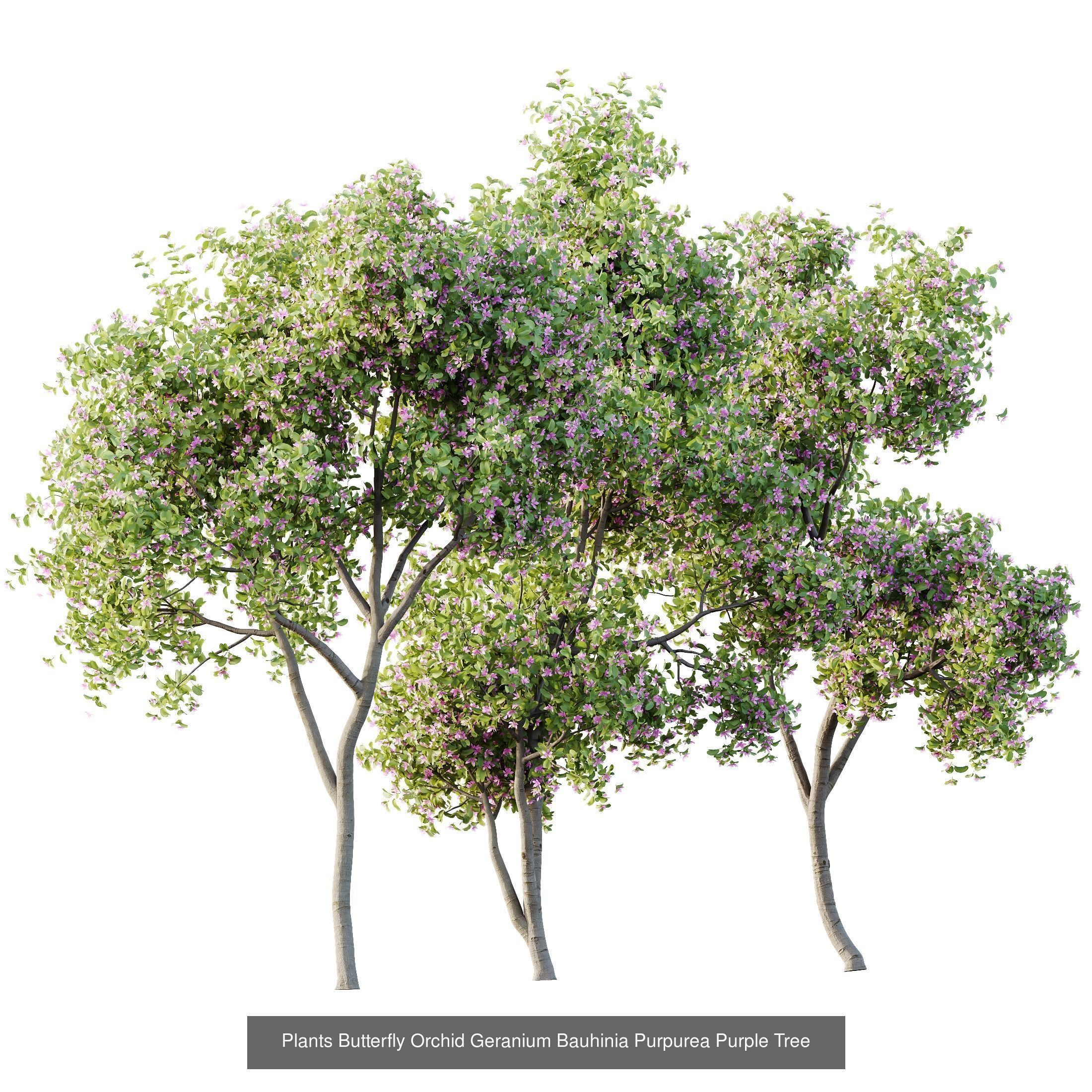 6 Different SETS of Plant Tree SET VOL142 3D Model Collection_7