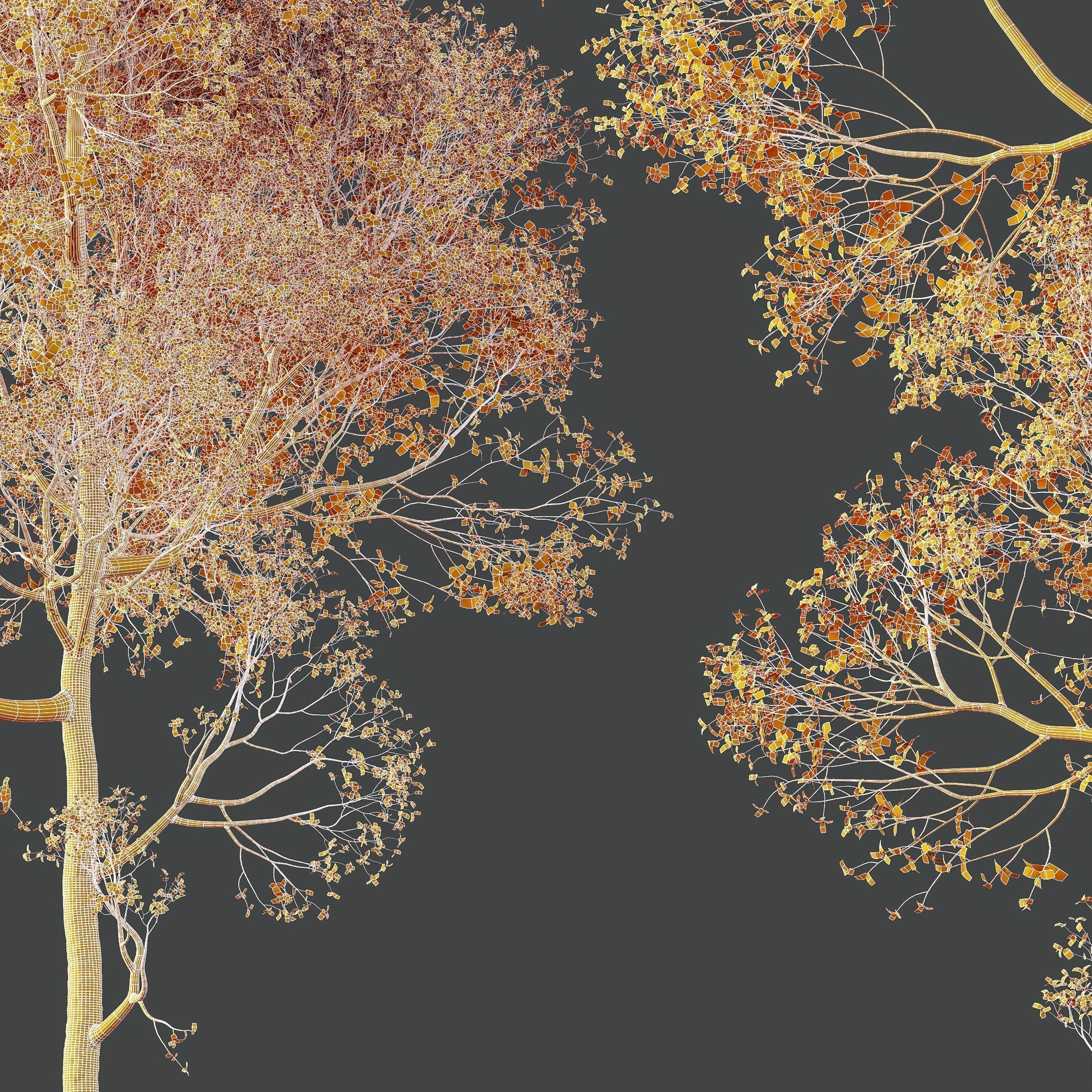 6 Different SETS of Plant Tree SET VOL143 3D Model Collection_29