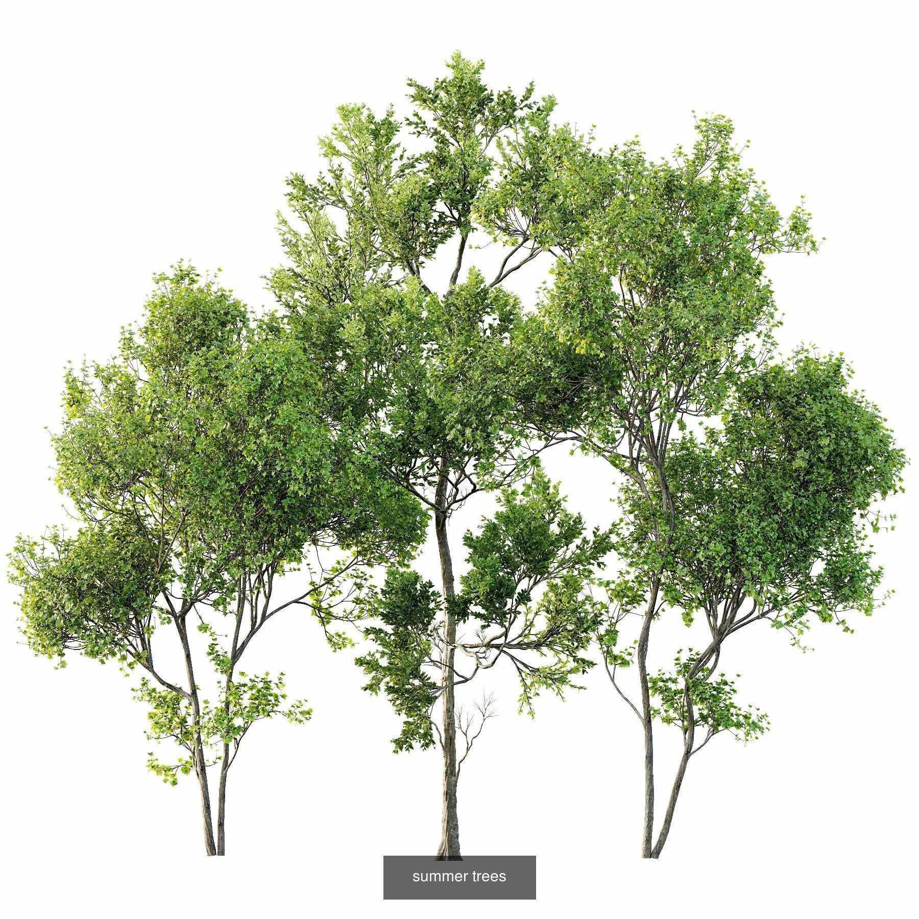 6 Different SETS of Plant Tree SET VOL143 3D Model Collection_1